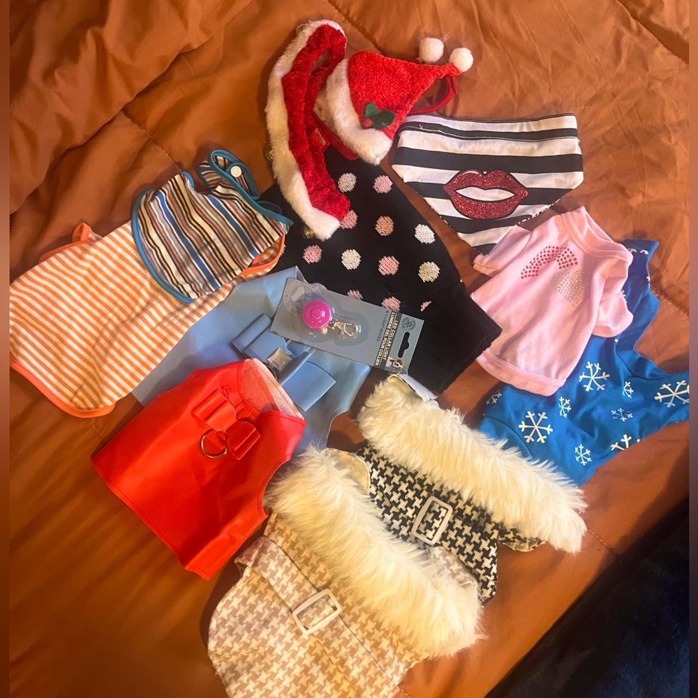 Small dog wear!